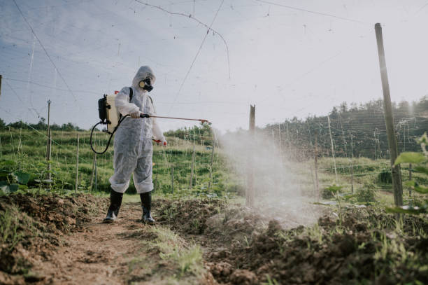 Best Pest Control Cost  in Bannockburn, IL