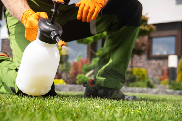Best Ant Control Services  in Bannockburn, IL