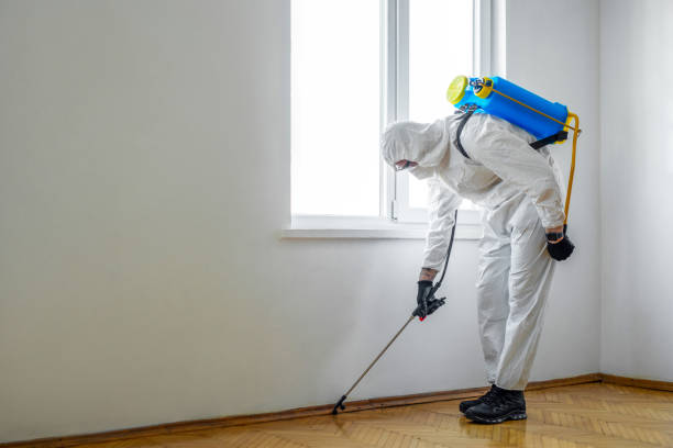 Best Exterminator Services  in Bannockburn, IL