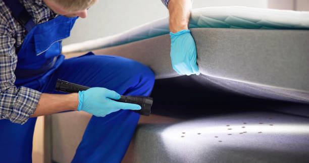 Best Wasp Removal Services  in Bannockburn, IL