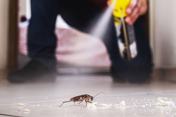 Best Spider Control Near Me  in Bannockburn, IL
