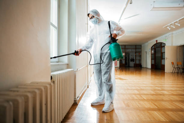 Best Flea Control Services  in Bannockburn, IL