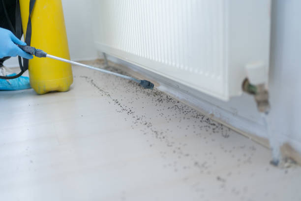 Best Local Pest Control Services  in Bannockburn, IL